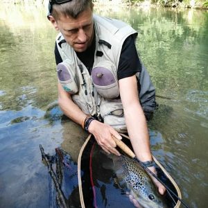 Initiation pêche à la mouche sur le bassin de l’Aa