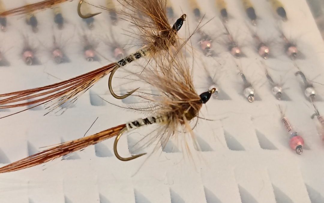 Le Retour de la Mouche de Mai